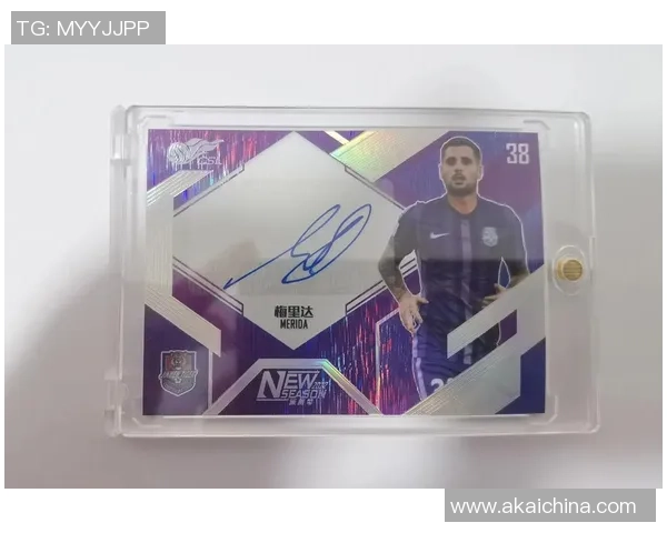 DS足球球星卡收藏价值解析与球迷必备入门指南 DS足球球星卡收藏价值解析与球迷必备入门指南