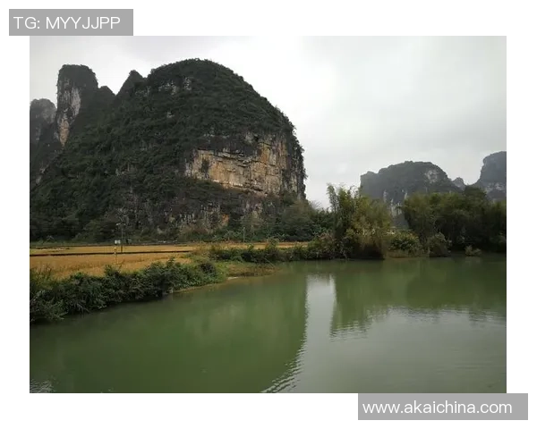 《从街头少年到足坛传奇足球球星H的崛起与荣耀之路》