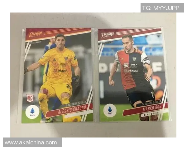 世界足球中的6号球星代表人物盘点与荣誉成就解析