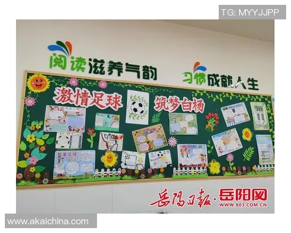 中国足球明星风采集锦回顾与展望展示中国足球璀璨星光