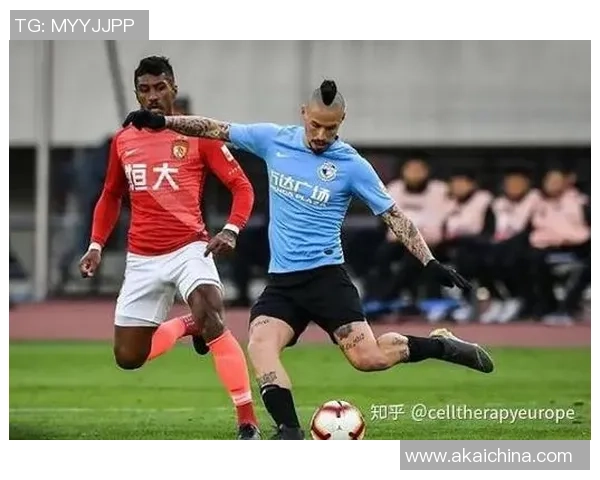 从草根到闪耀赛场海南野球足球球星成长奋斗传奇