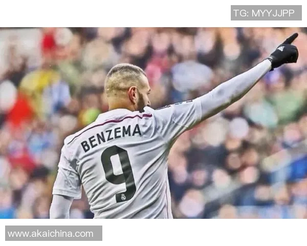 绿茵巨星闪耀时刻全面解析世界足球传奇人物